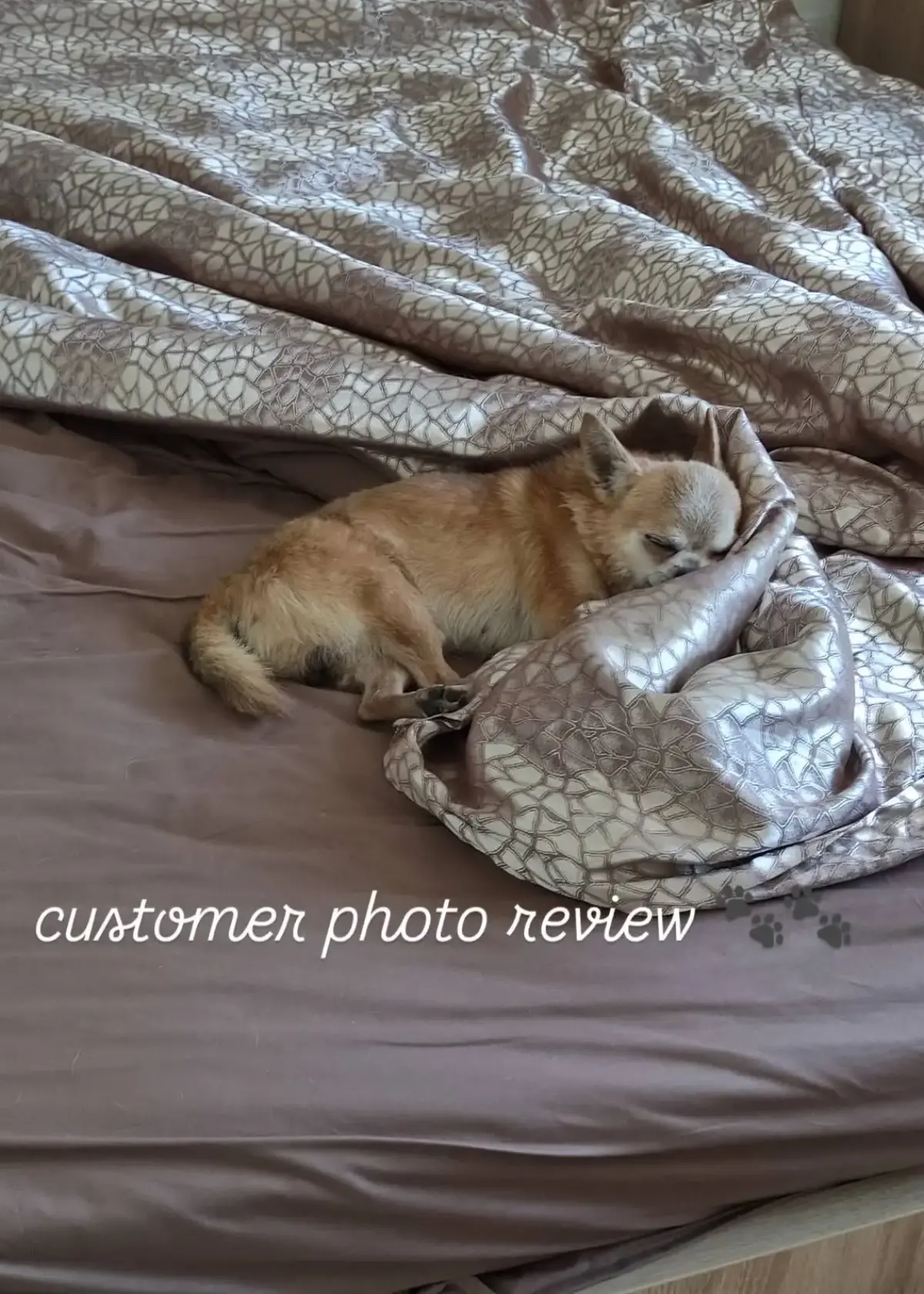 dreamcat-customer-review-jacquard-bedding-11