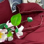 Постельное белье из сатина, бордовое