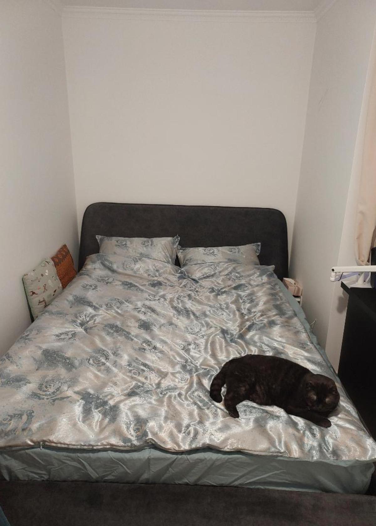 vidguk-dreamcat-zhakardova-postilna-bilyzna-1